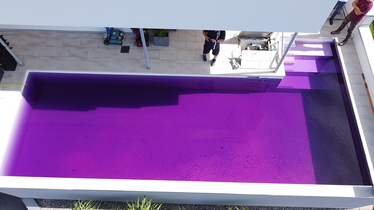 Piscina con agua teñida de morado en un experimento de circulación